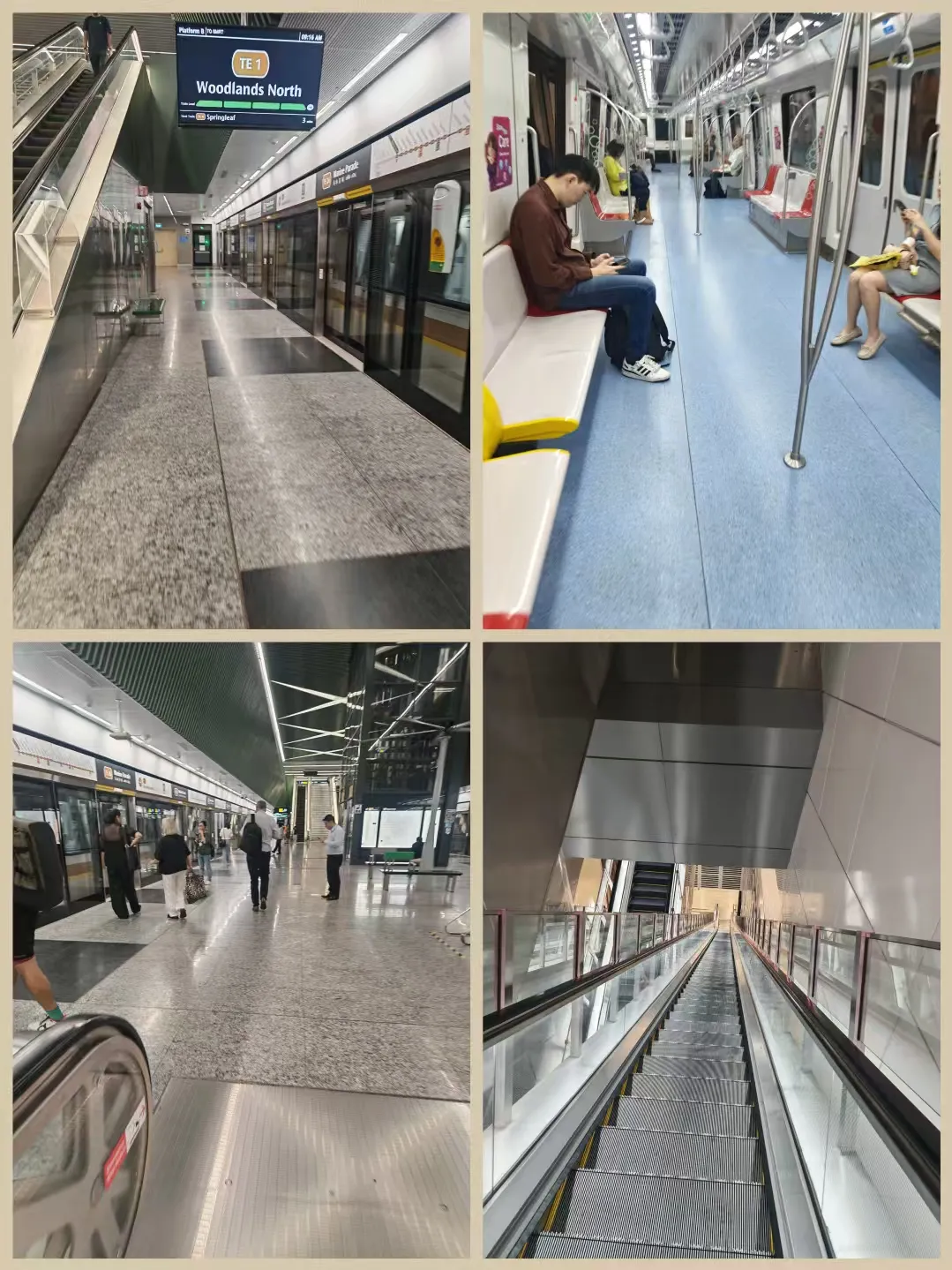 MRT TE线